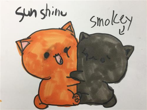 Sunshine and Smokey